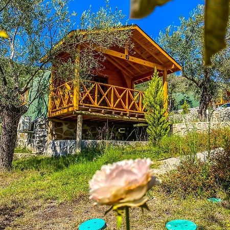 Hotel Kazdaglari Saglikli Yasam Koeyue Edremit  Esterno foto