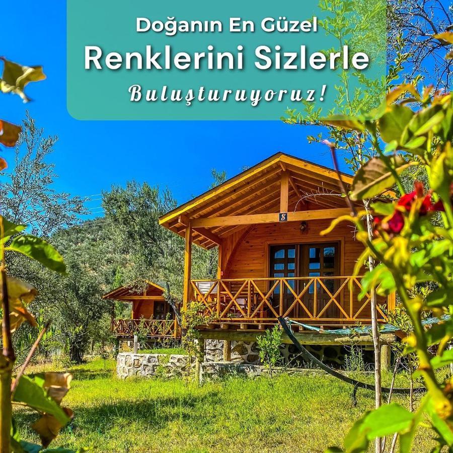 Hotel Kazdaglari Saglikli Yasam Koeyue Edremit  Esterno foto