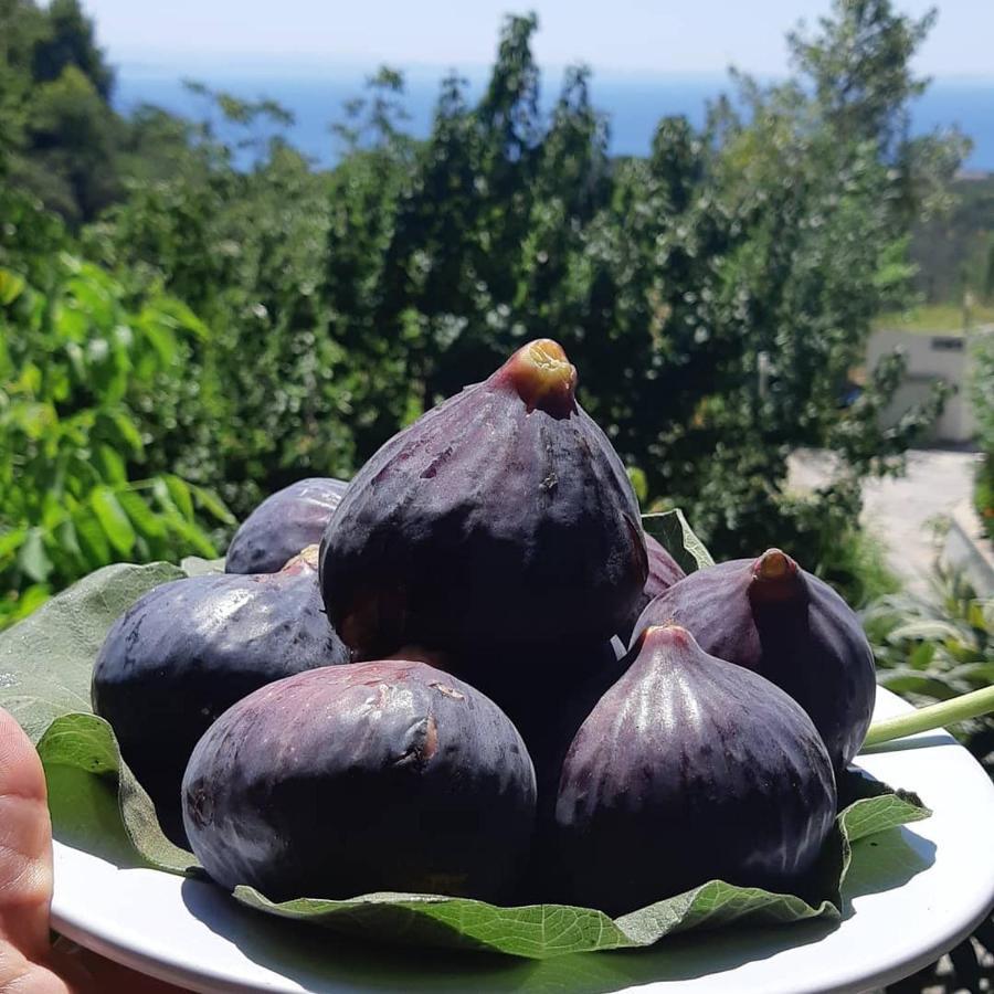 Hotel Kazdaglari Saglikli Yasam Koeyue Edremit  Esterno foto